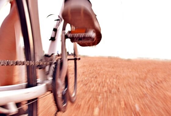 Photo CommunityCover (27)