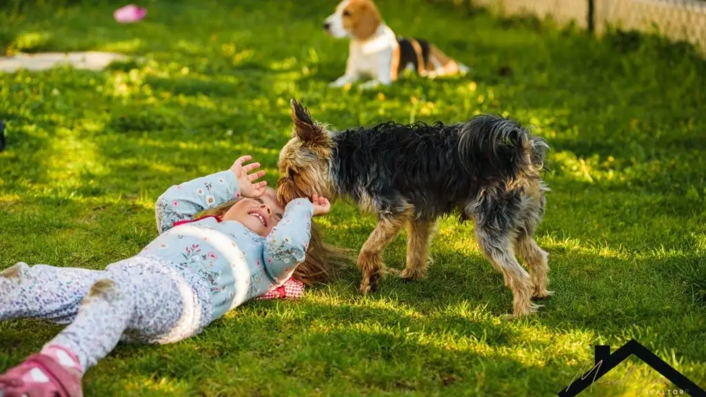 providence las vegas dog park
