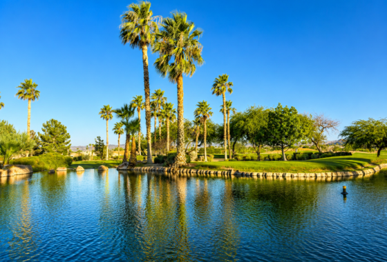Siena Summerlin Community Waterscape