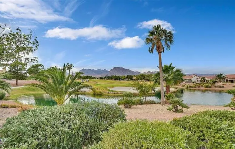 Sun City Summerlin View