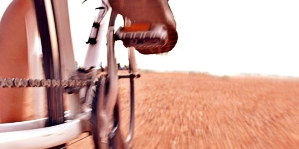 Photo CommunityCover (27)