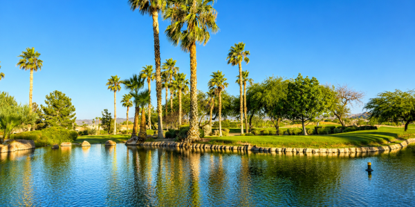 Siena Summerlin Community Waterscape